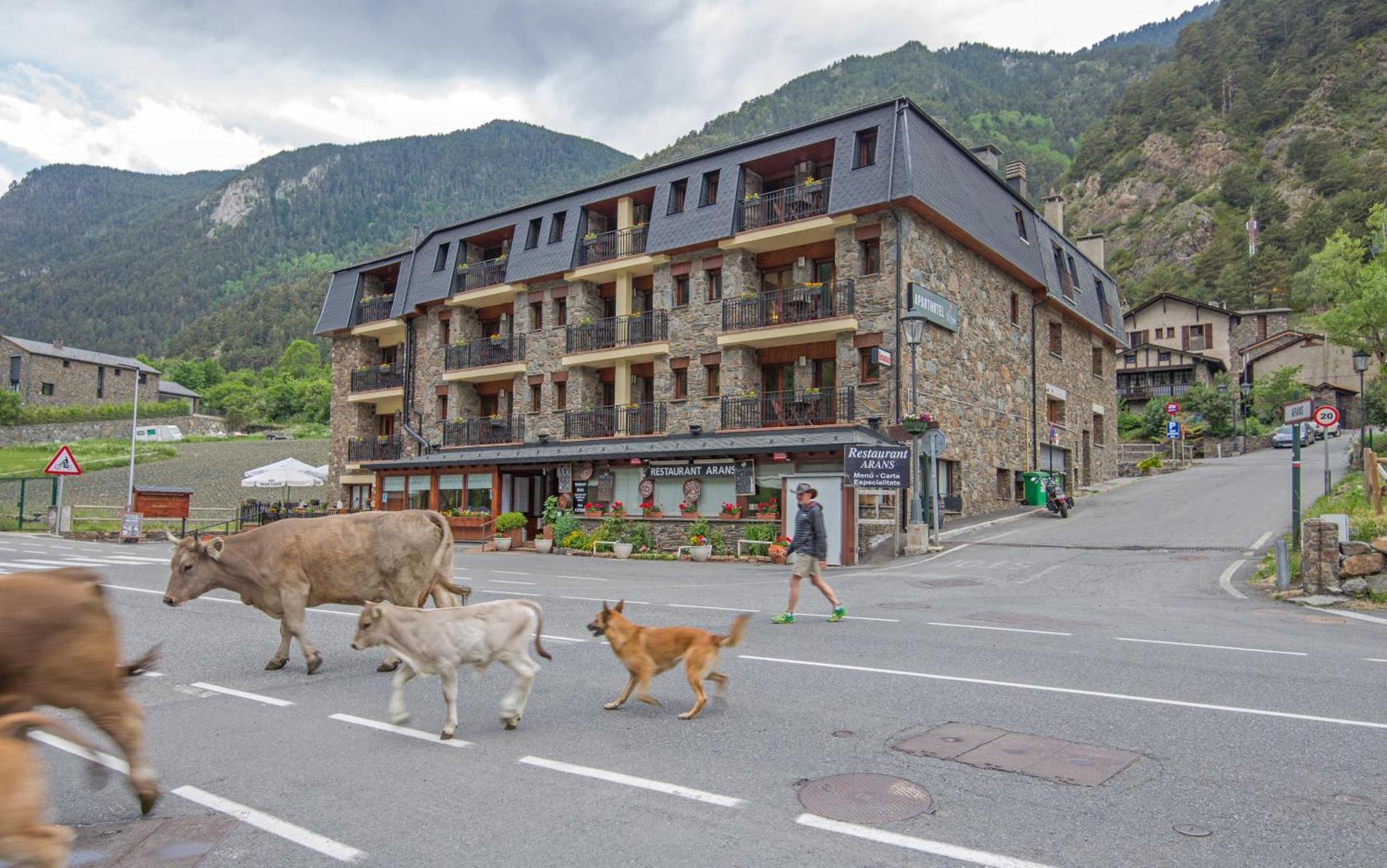 Pierre & Vacances Aparthotel La Tulipa Ordino Eksteriør bilde